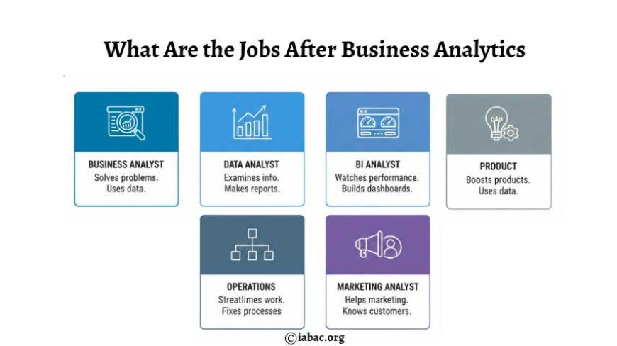 What Are the Jobs After Business Analytics