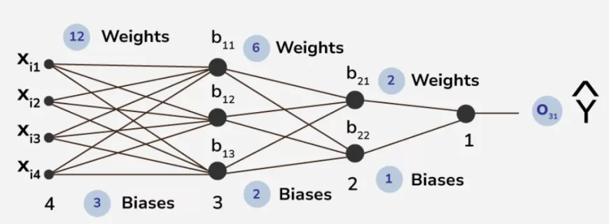 Input Layer