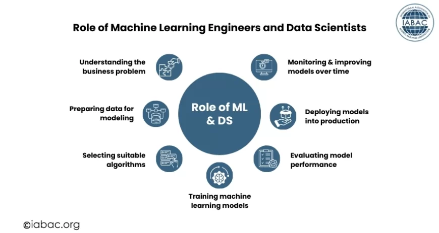 Role of Machine Learning Engineers and Data Scientists