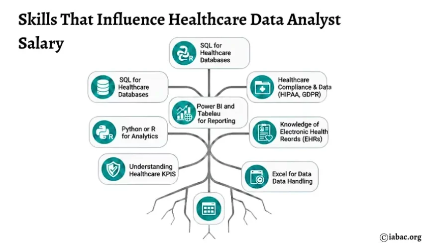 How Much Is the Healthcare Data Analyst Salary - IABAC