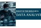 What Is the Role of a Data Analyst