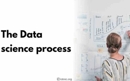The Data science process