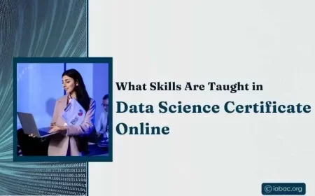 What Skills Are Taught in Data Science Certificate Online