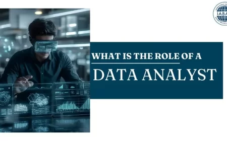 What Is the Role of a Data Analyst