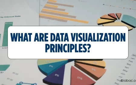 What Are Data Visualization Principles?