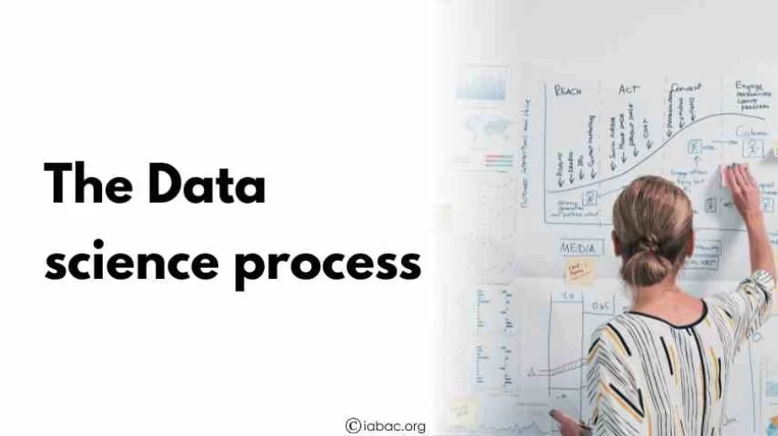 The Data science process