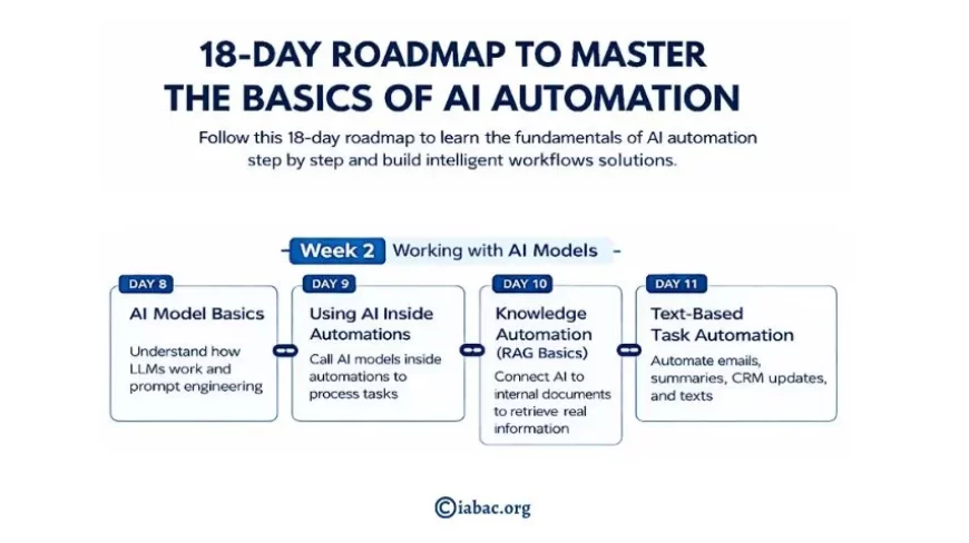 18-Day Roadmap to Master the Basics of AI Automation- week-2