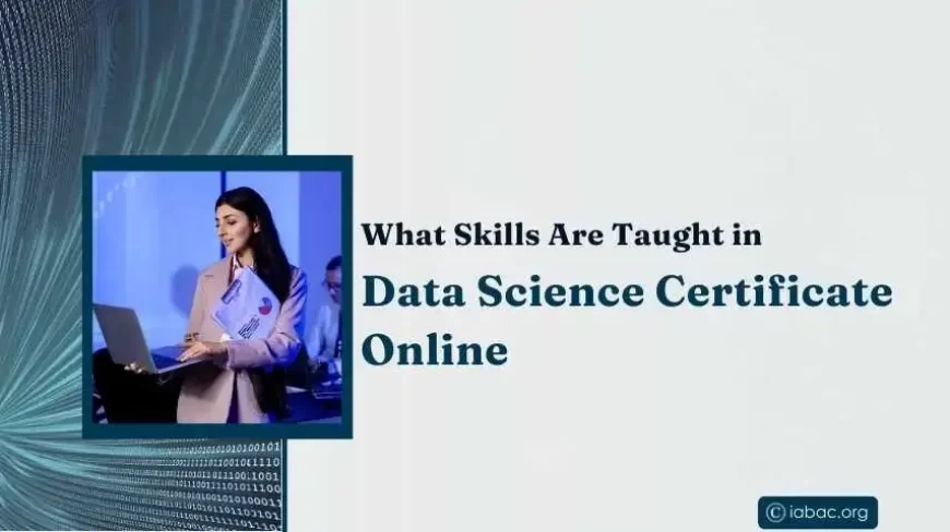 What Skills Are Taught in Data Science Certificate Online
