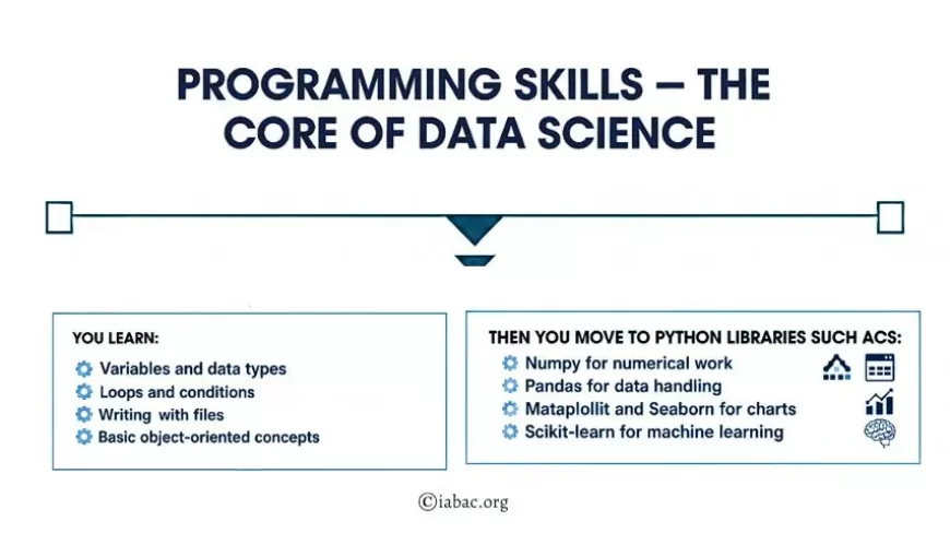 Programming Skills &ndash; The Core of Data Science