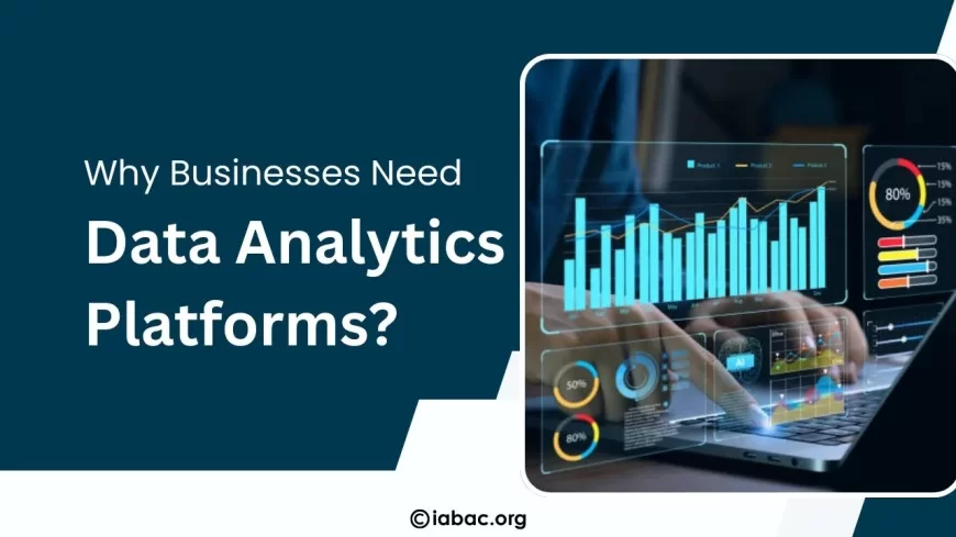 Why Do Businesses Need a Data Analytics Platform