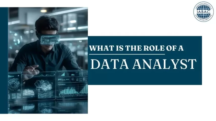 What Is the Role of a Data Analyst