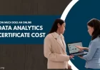 How Much Does an Online Data Analytics Certificate Cost