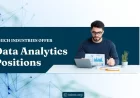 Which Industries Offer Data Analytics Positions?