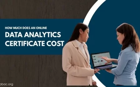 How Much Does an Online Data Analytics Certificate Cost