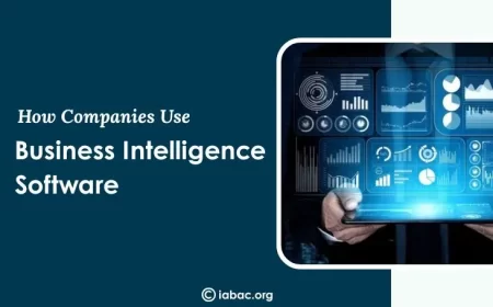 How Companies Use Business Intelligence Software