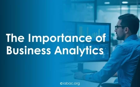 The Importance of Business Analytics