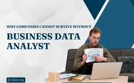 Why companies cannot survive without business data analyst?
