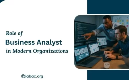 What is the Role of a Business Analyst in Organizations?