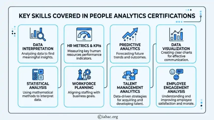 Key Skills Covered in People Analytics Certifications