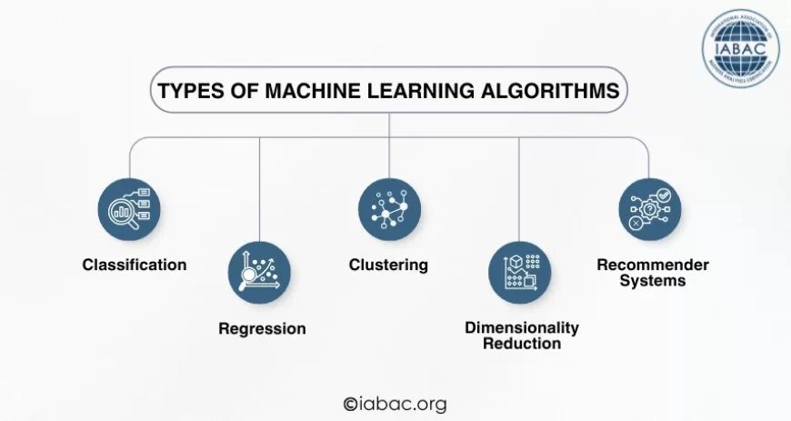 Types of Machine Learning Algorithms