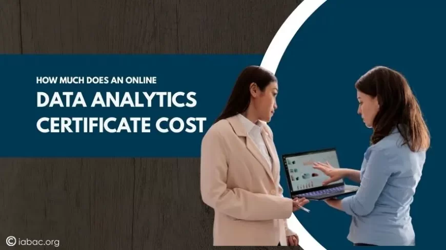How Much Does an Online Data Analytics Certificate Cost