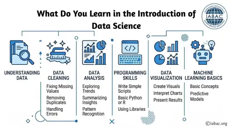 What Do You Learn in the Introduction of Data Science