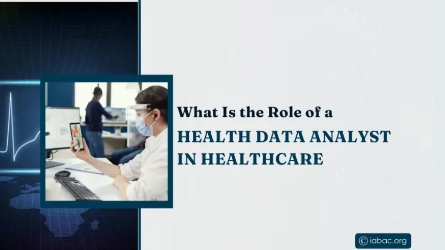 What Is the Role of a Health Data Analyst in Healthcare?