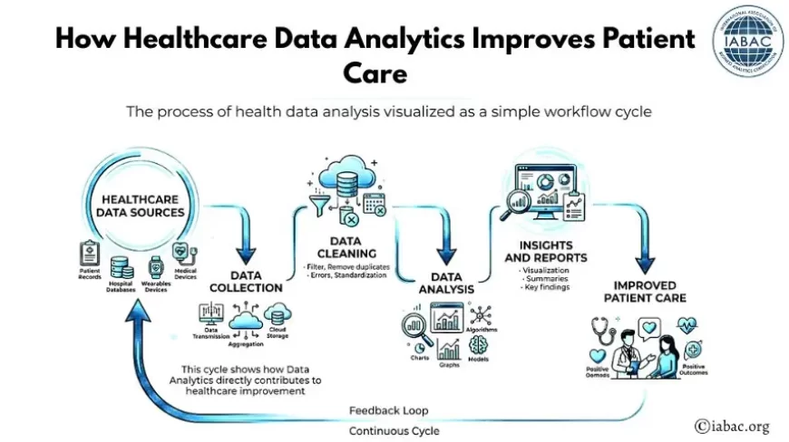 What Is the Role of a Health Data Analyst in Healthcare