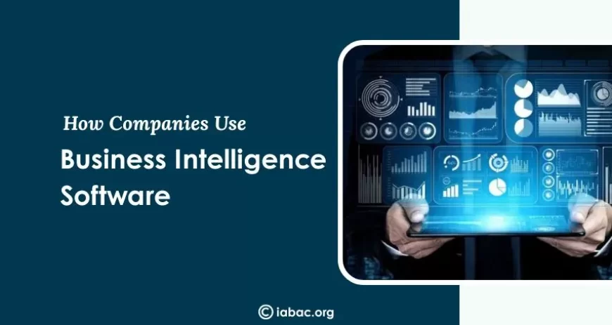 How Companies Use Business Intelligence Software