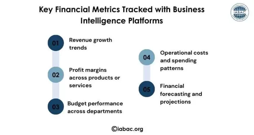 Key Financial Metrics Tracked with Business Intelligence Platforms