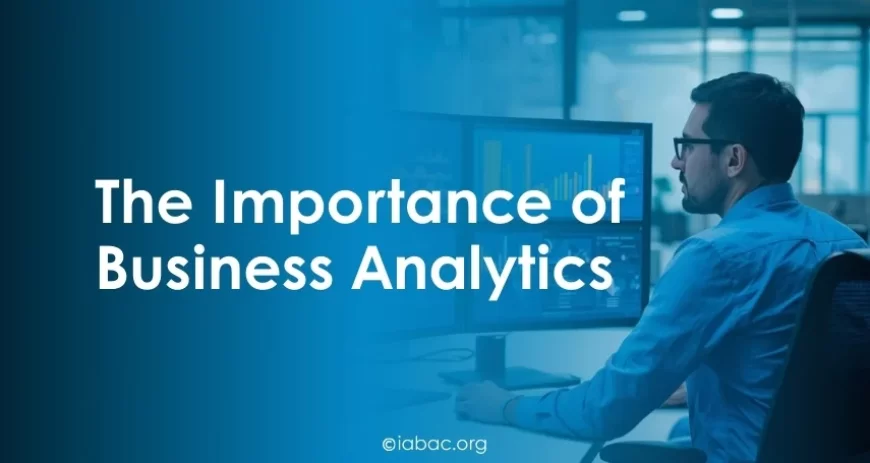 The Importance of Business Analytics