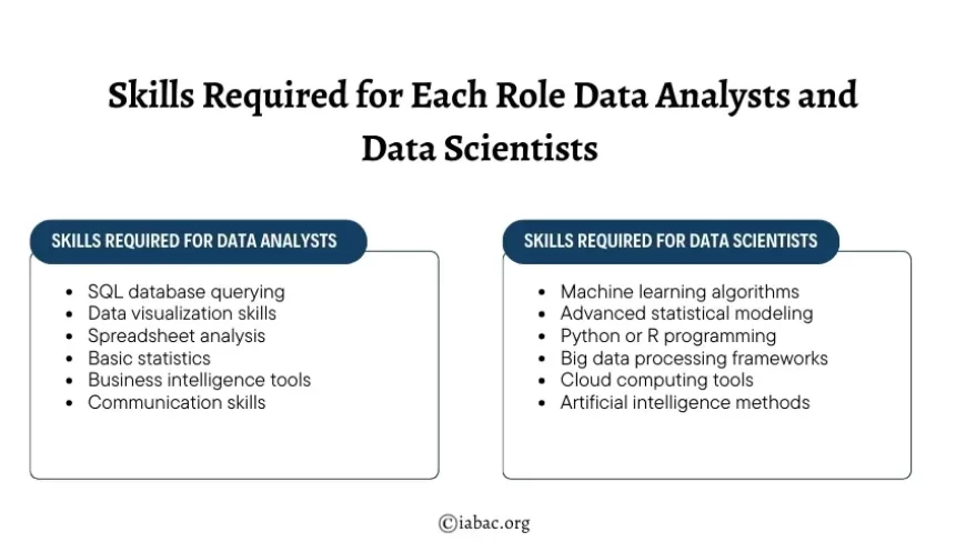 Skills Required for Each Role