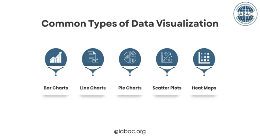 Common Types of Data Visualization