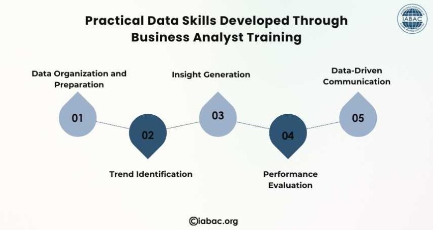 Practical Data Skills Developed Through Business Analyst Training