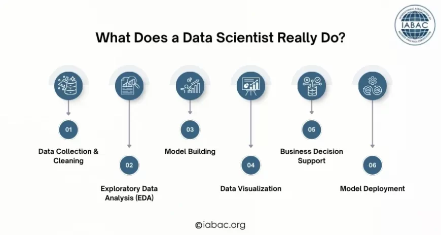 What Does a Data Scientist Really Do