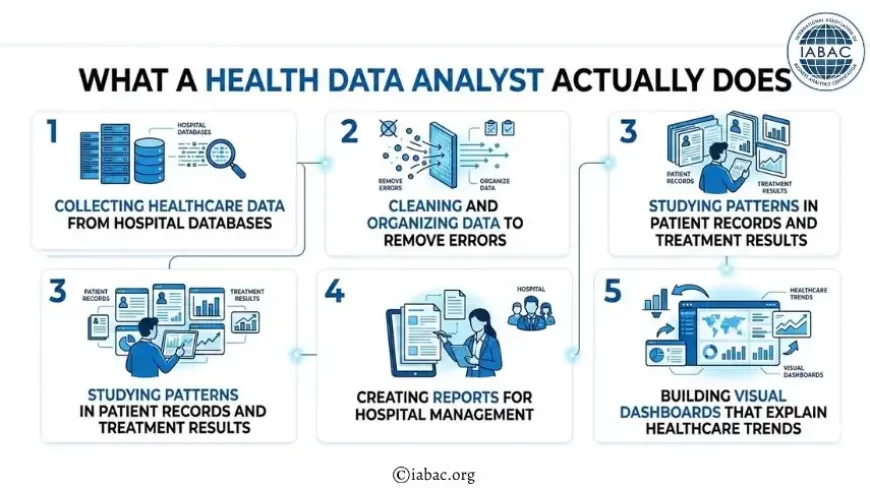 What a Health Data Analyst Actually Does