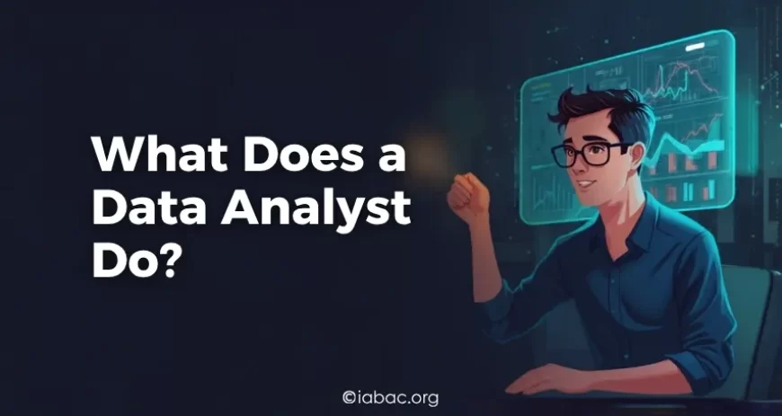 What Does a Data Analyst Do?