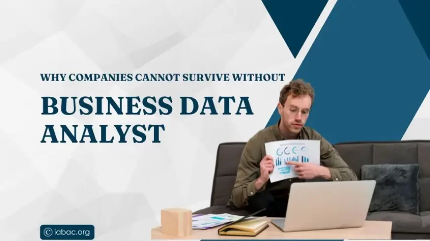 Why companies cannot survive without business data analyst?