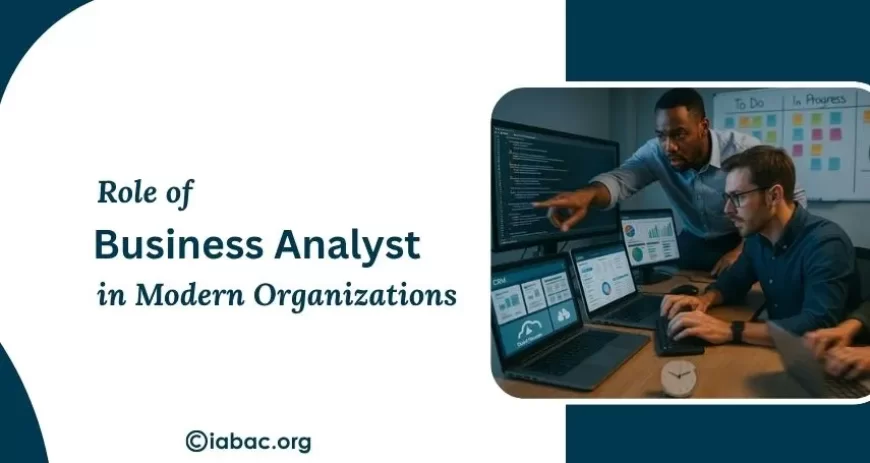 What is the Role of a Business Analyst in Organizations?