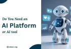 Do You Really Need an AI Platform or Just an AI Tool?