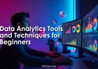Data Analytics Tools and Techniques for Beginners