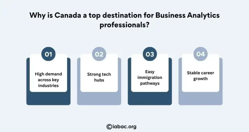 Why is Canada a top destination for business analytics professionals