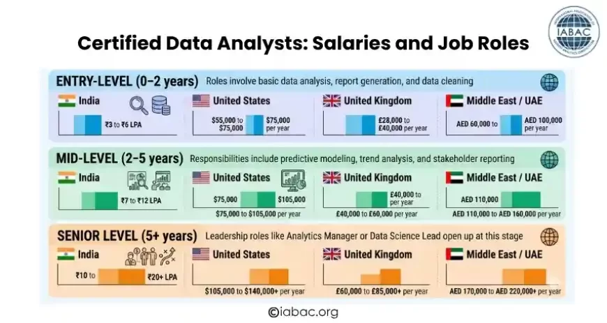 Salaries and Job Roles: What Certified Data Analysts Earn Around the World