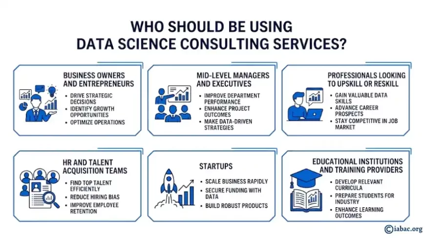 Who Should Be Using Data Science Consulting Services?