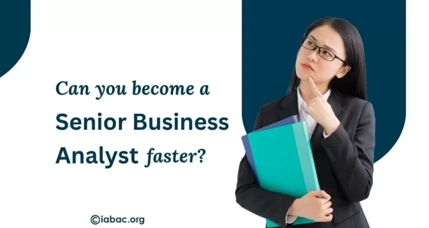 How Long Does It Take to Become a Senior Business Analyst?