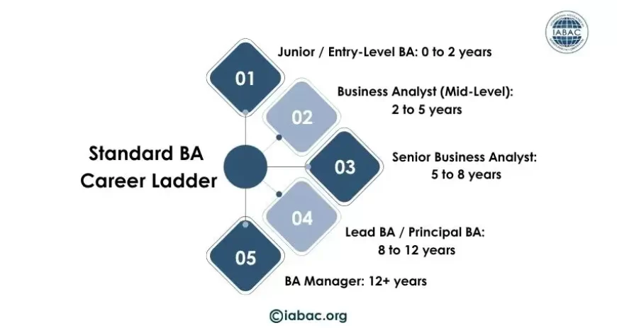 Standard BA  Career Ladder