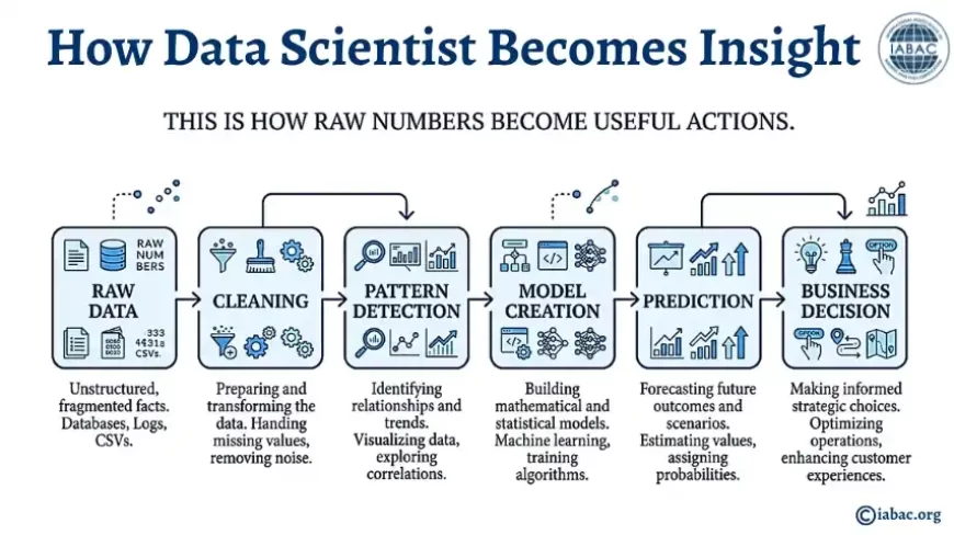How Data Becomes Insight