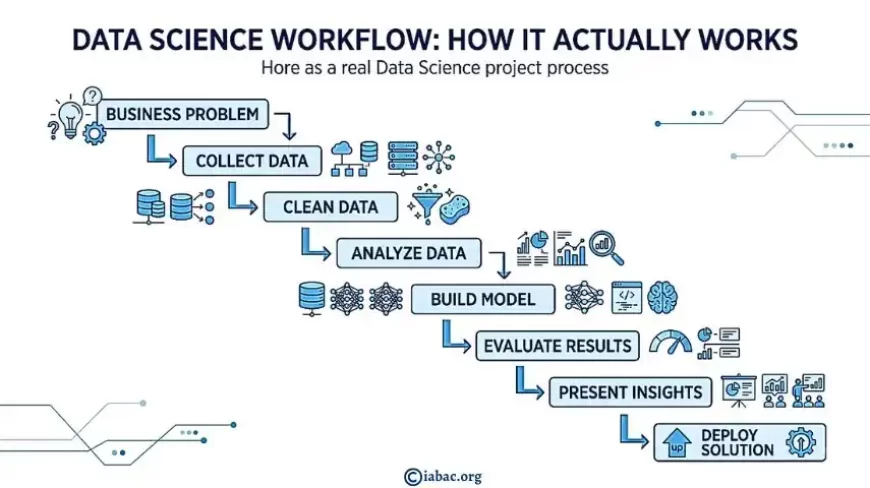 Data Science Workflow: How It Actually Works