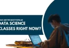 What Are the Most Popular Data Science Classes Right Now?