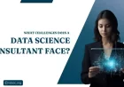 What Challenges Does a Data Science Consultant Face?